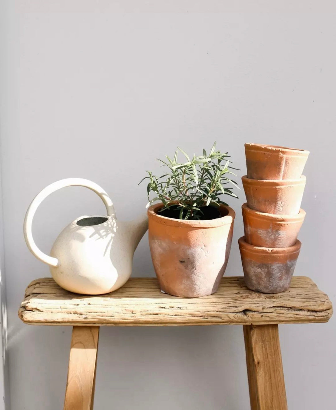 Tuscan Terracotta Pot