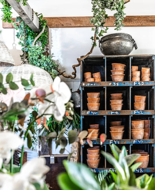 Tuscan Terracotta Pot