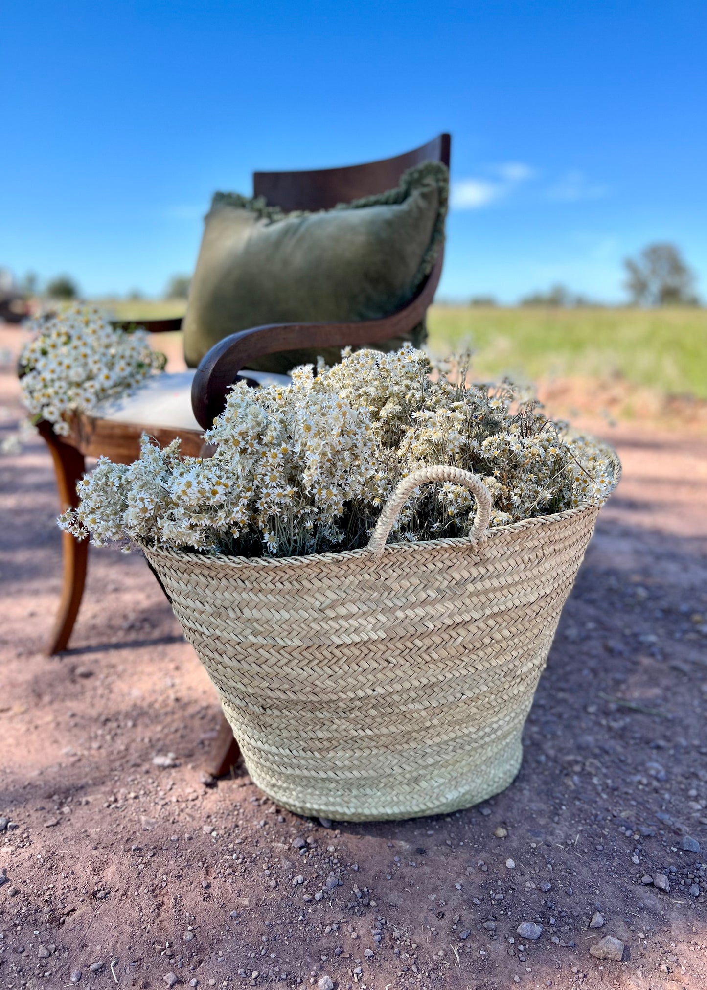 French Market Basket - Sisal