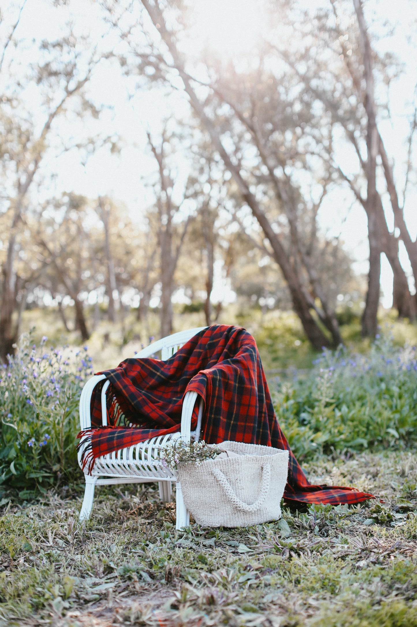 Rebellion | Recycled Wool Scottish Tartan Blanket