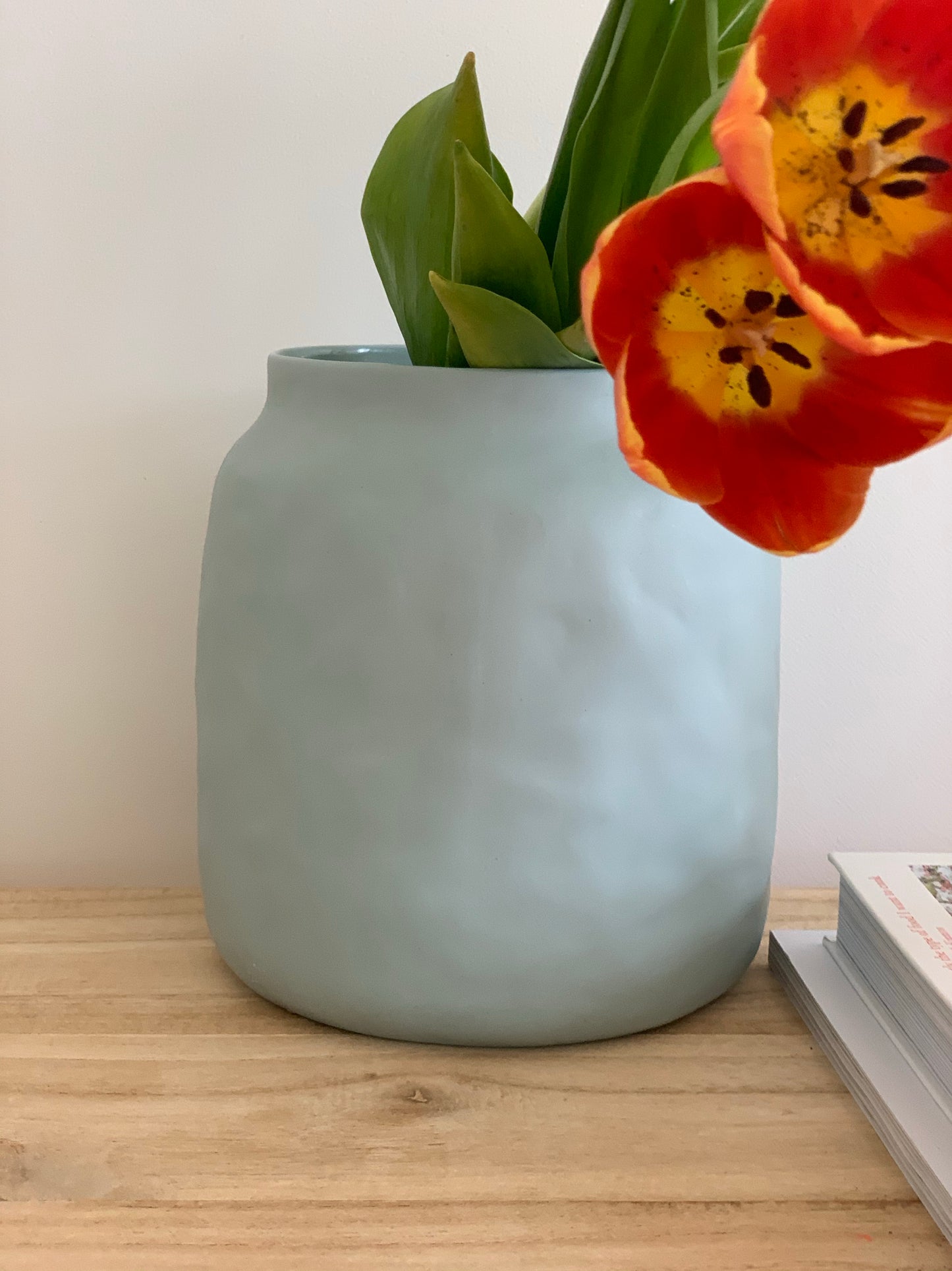 Pot | Duck Egg