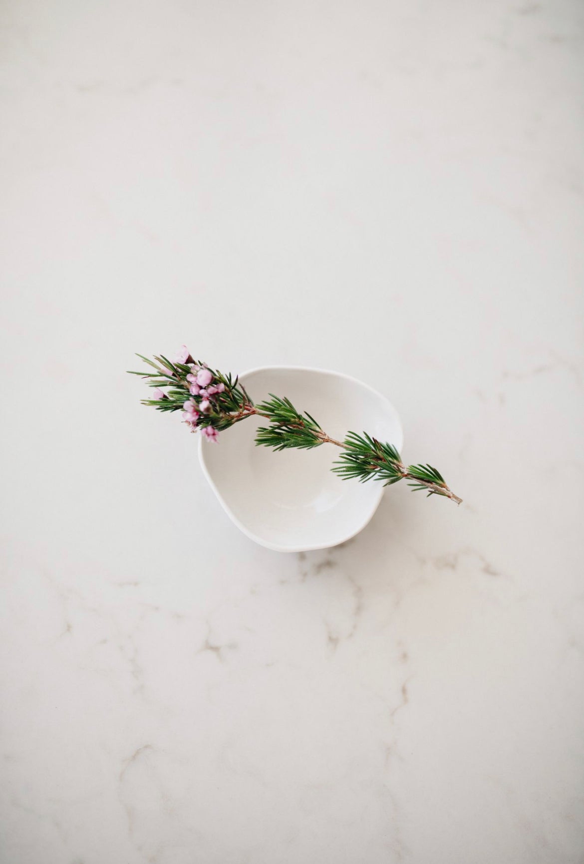 Pinch Pot