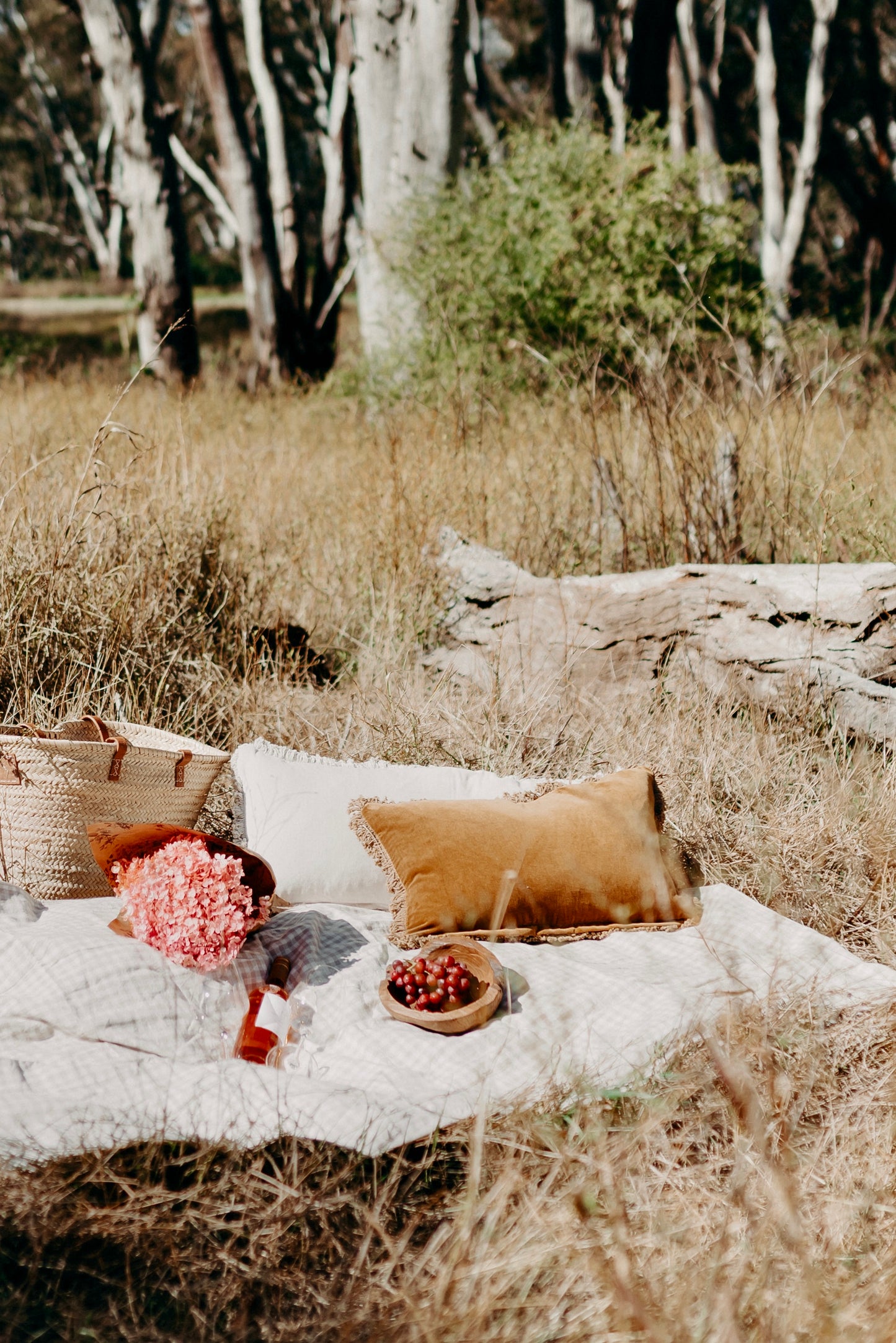 Velvet Cotton Cushion | Nutmeg