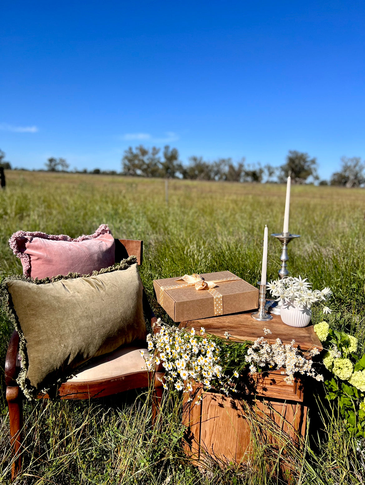 Velvet Bolster Cotton Cushion | Olive