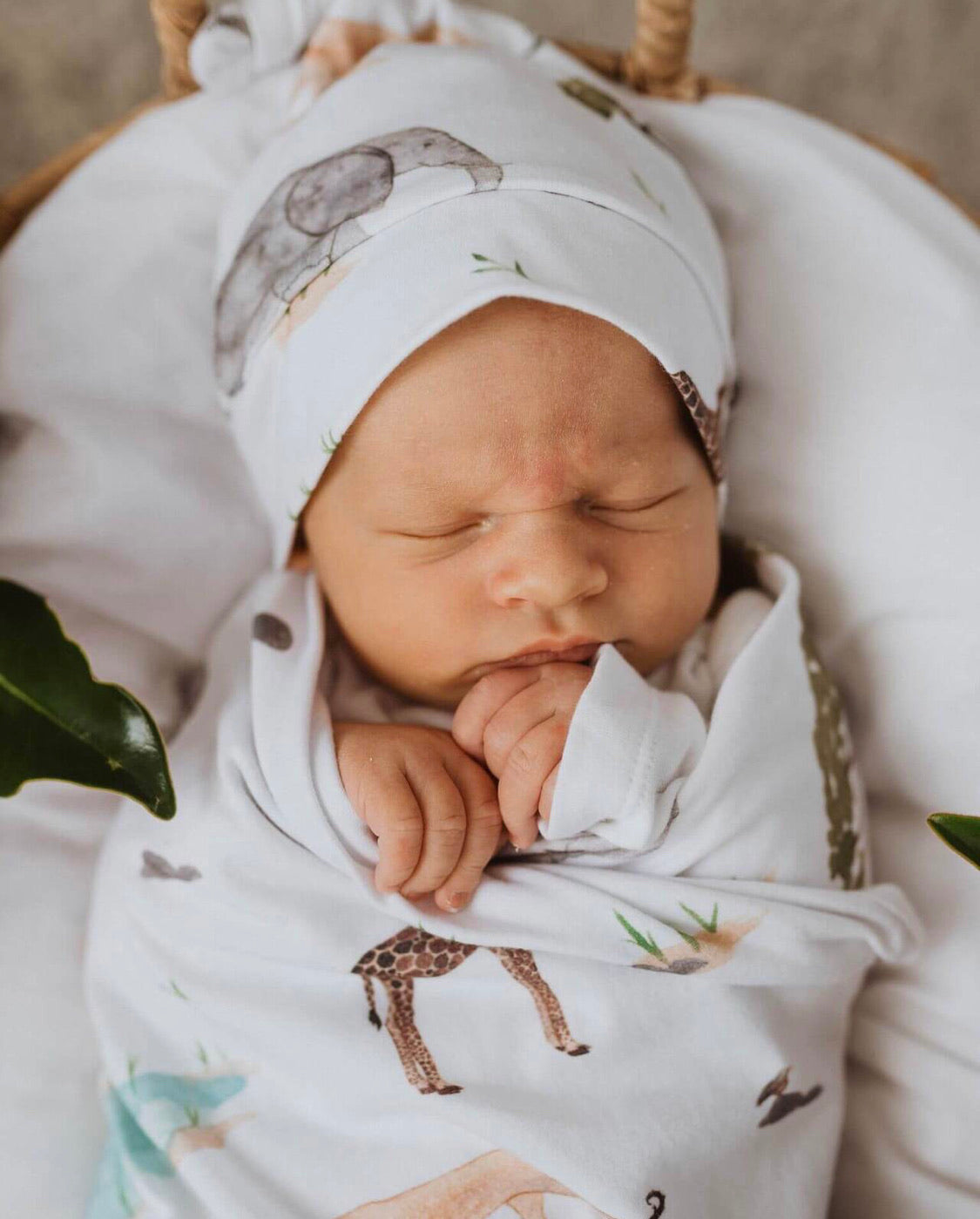 Safari | Baby Jersey Wrap & Beanie Set