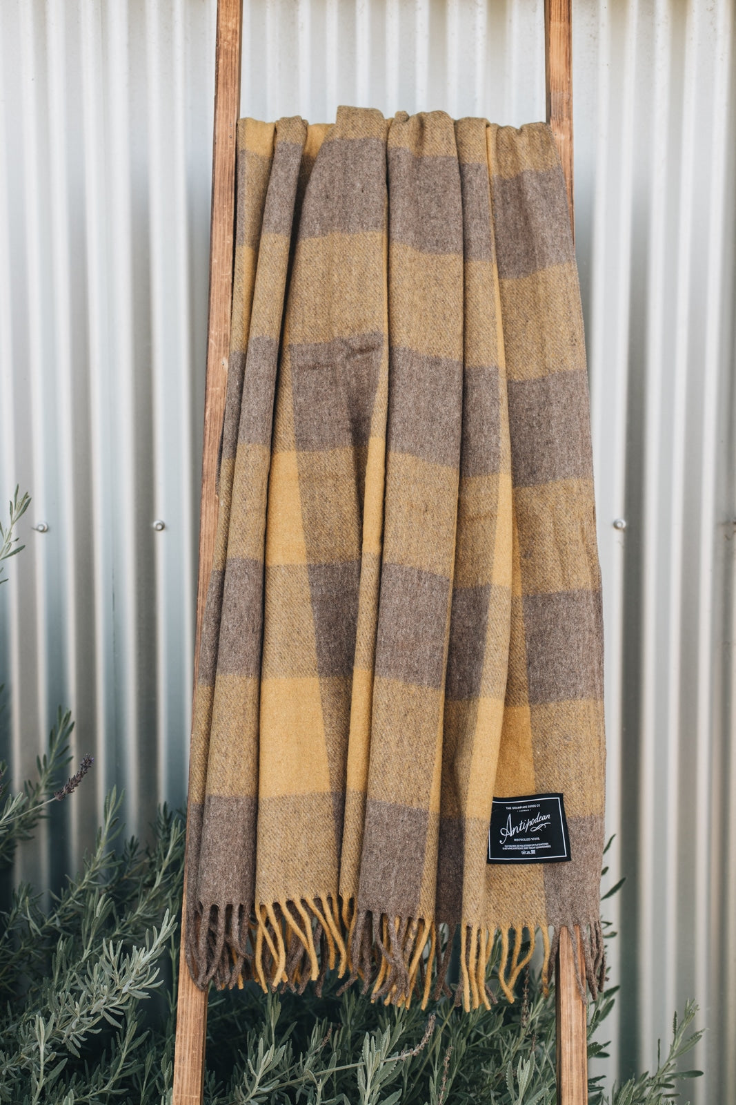 Wattleseed | Recycled Wool Picnic Check Blanket