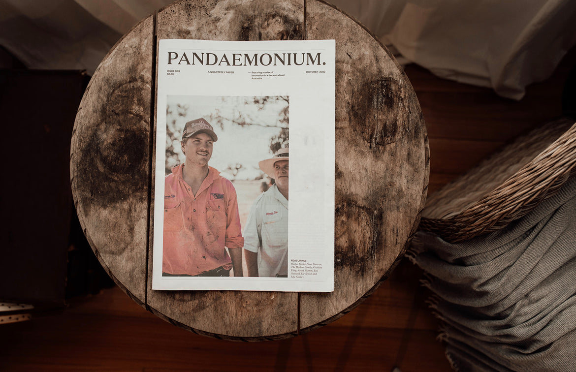 The Pandaemonium Paper 03